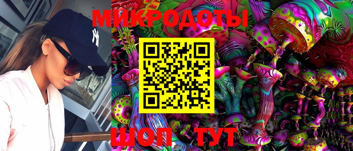 сколько стоит  Вход с VPN  Тимашёвск  Псилоцибиновые грибы Cubensis 